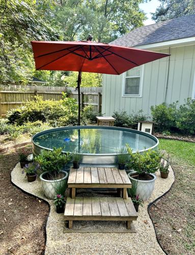 Stock Tank Pool Perth: A Buyer's Guide for WA Backyards (2026)