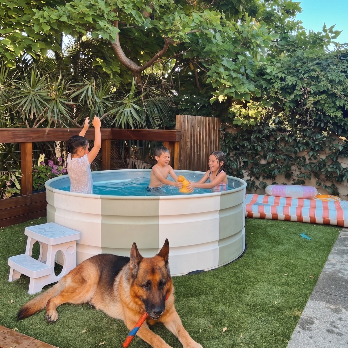 Children playing in a 6 ft stock tank pool in Australia with a dog on a grassy area